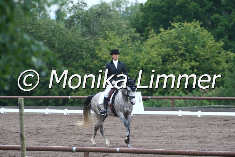 009M8464_Saphir_Dressurpf A.JPG